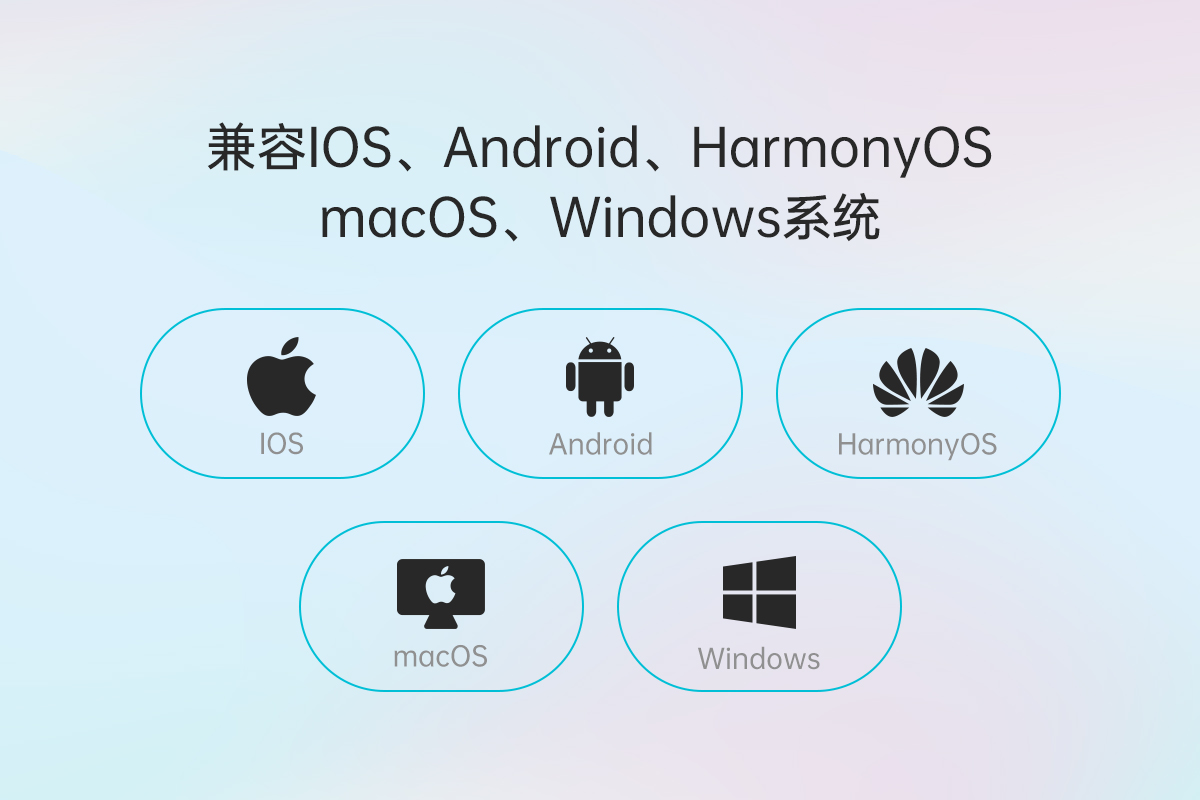 1665989289527950.jpg 7.jpg